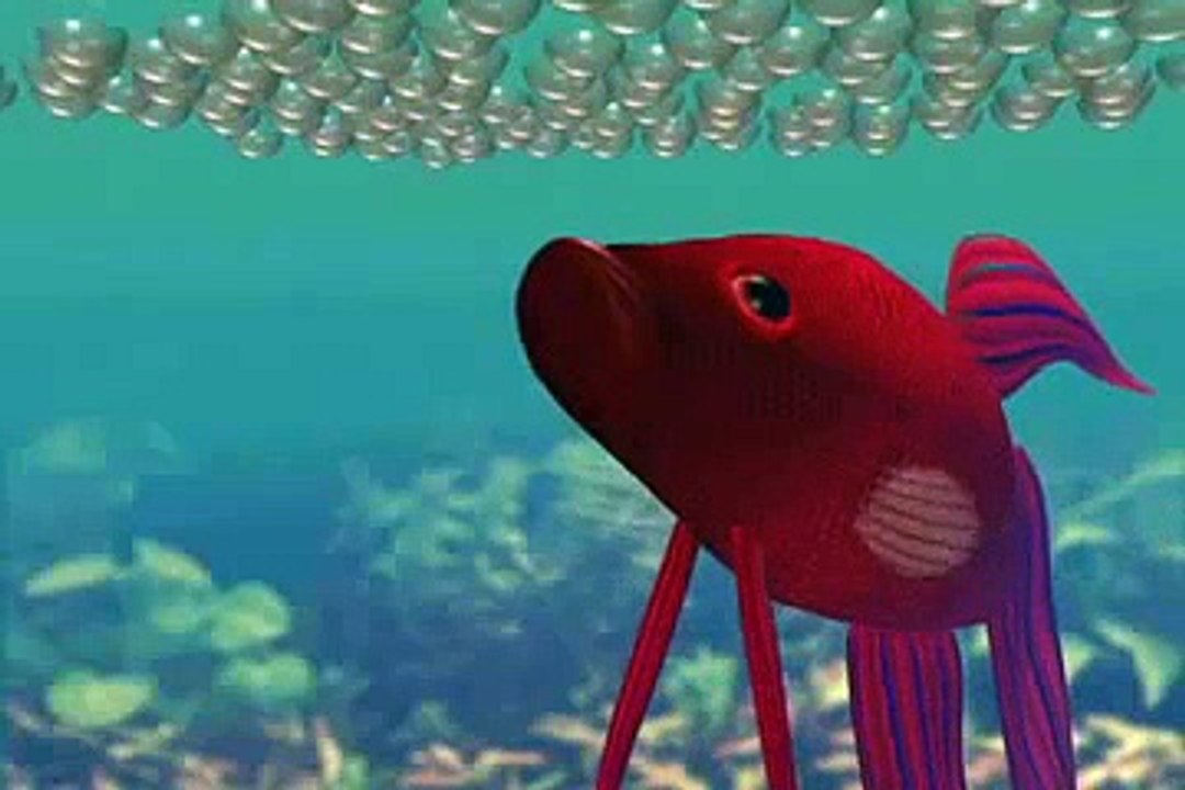 Betta Fish Animation