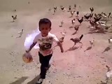 [SO FUNNY] Little boy getting chased by hungry chickens
