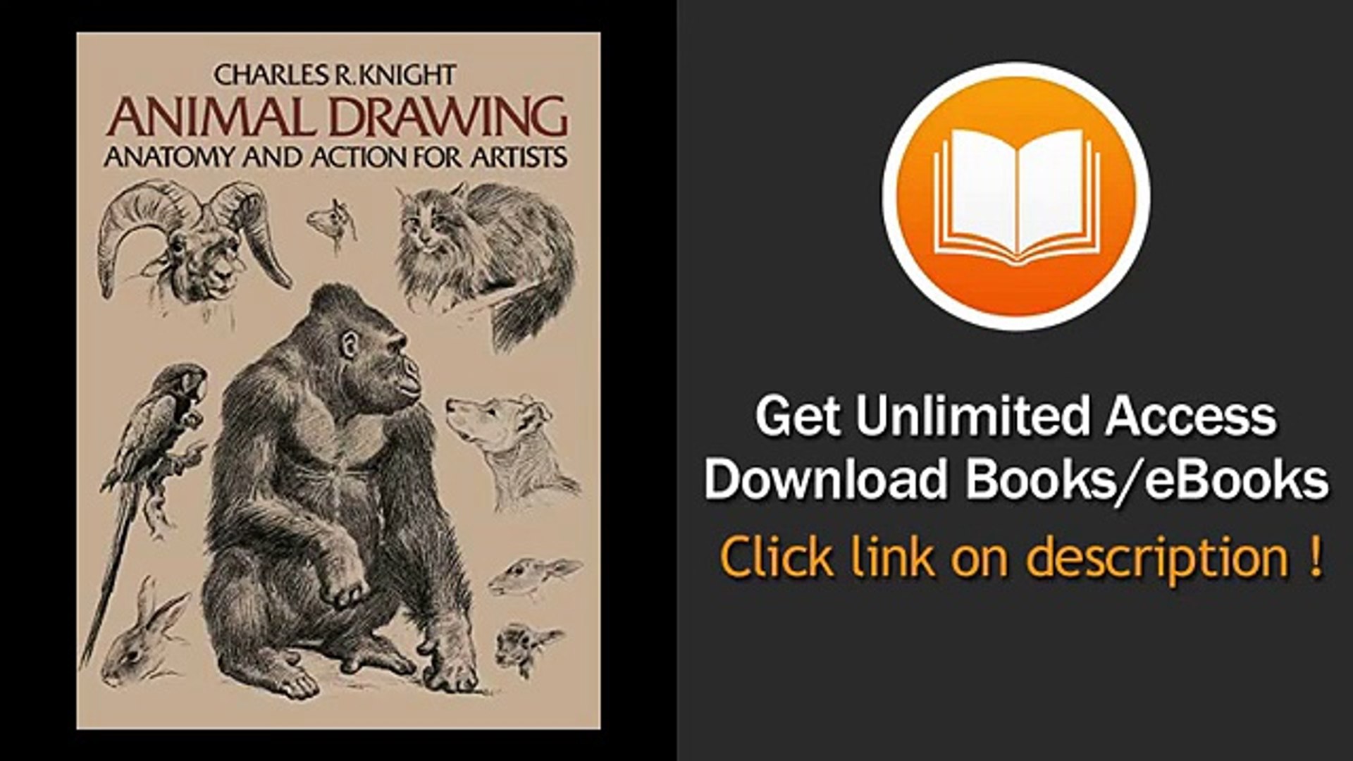 Animal Drawing Anatomy And Action For Artists Pdf Video Dailymotion