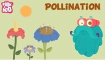 Parts of a flower and Pollination | The Dr. Binocs Show | Learn series for kids