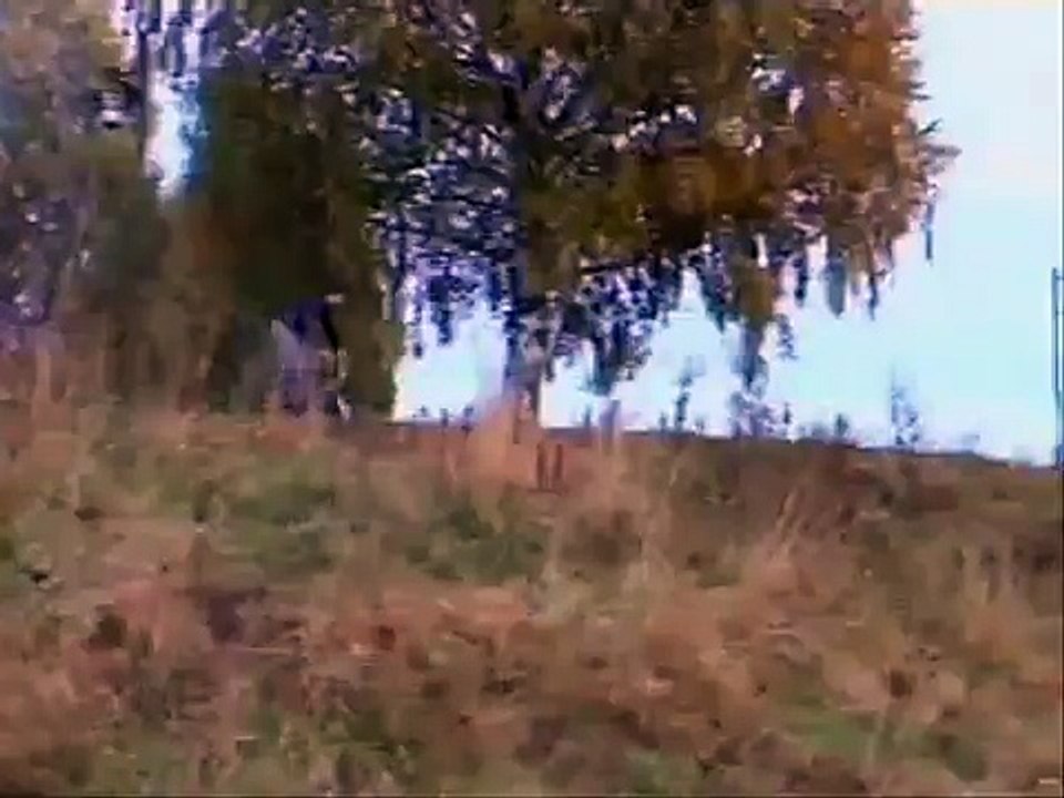 Motocross And Bmx Crash Video