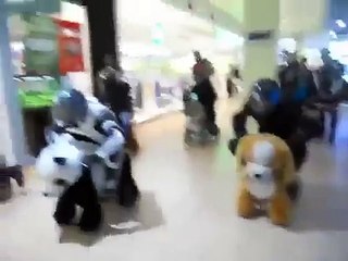 Une course sur des animaux dans un Carrefour !