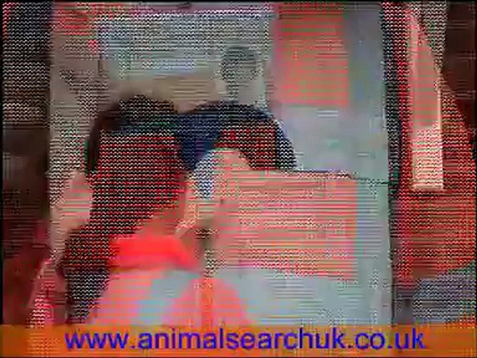 Missing pet search team