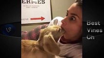 【Vine】面白い！話題になったイヌの6秒動画まとめVol 1～Best Dog Vines～