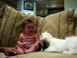 Dog loves to kiss baby - Funny baby| funny dog videos | funny dog vines, baby 8
