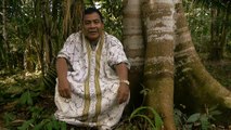 Maestro Jorge - Ayahuasca Retreats at the Temple of the Way of Light