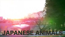 JAPANESE ANIMALS