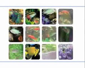 EHEIM Professionel 3 electronic - der erste Aquarien-Filter der Welt mit elektronischer Steuerung