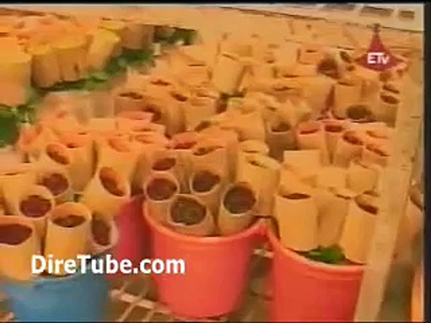 Ethiopian News in English - Private sector's role for economic growth