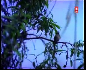 "DIL KAHE RUKJA RE RUK JA"BY MOHD.RAFI,M.D:LAXMIKANT PYARELAL-"MAN KI ANKHEN"