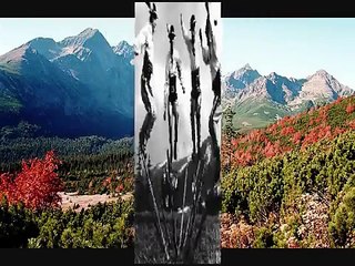 Za gorami, za lasami