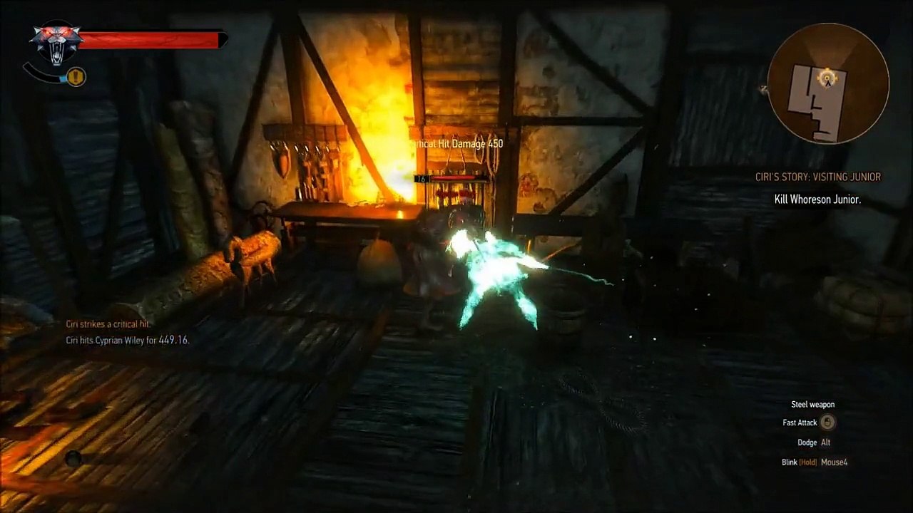 The Witcher 3 - Ciri and Whoreson