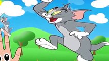 Tom si Jerry Finger Family Tom and Jerry Cartoon Animation Nursery Rhymes for Children 7LYcmsXgfHM