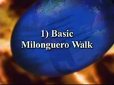 Argentine Tango Milonguero Style (Close Embrace) Volume 1 - Ballroom Dance DVD