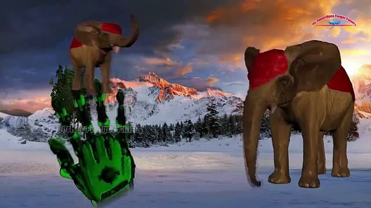 Elephant Finger Family   Finger family Song   3D Animation Nursery Rhymes & Songs