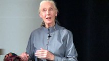 Dr. Jane Goodall at the Wildlife Conservation Expo in San Francisco 2009.mp4