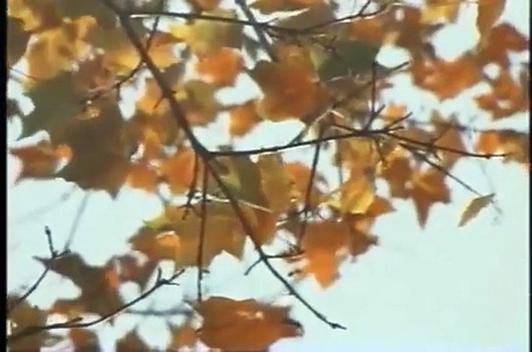 Alien Abduction phenomenon -  John Mack  pt3