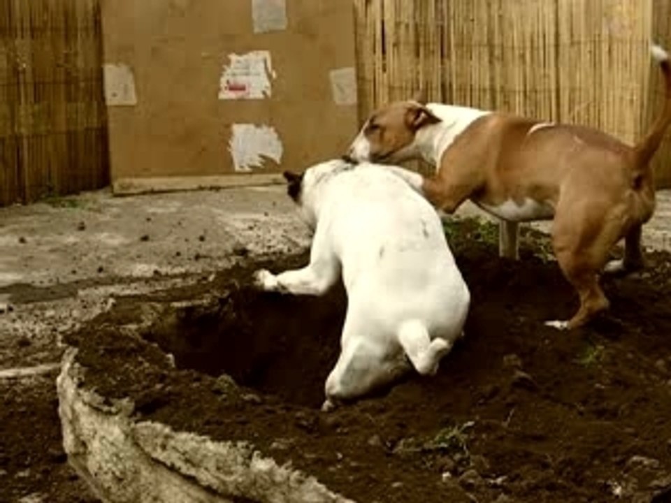 gas et bamba