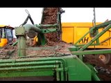 Removing straw from carrots, chopping and loading into trailers for A.D Plant fuel