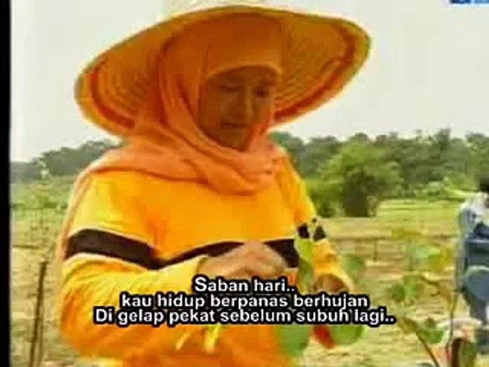 Mengenang Jasa IBU Mithali (Luahan Hati HARI IBU 2010)