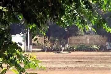 Armed terrorists storm Police Training Centre Manawan - March 30, 2009