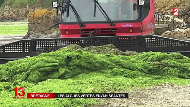 Les algues vertes ont envahi les côtes bretonnes