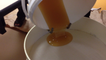 Récolte du miel du rucher école