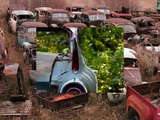 Wrecked Vintage Muscle cars,JunkYards,Barn cars! Chevy,Ford,GM,Chevelle,Mustangs,Corvettes