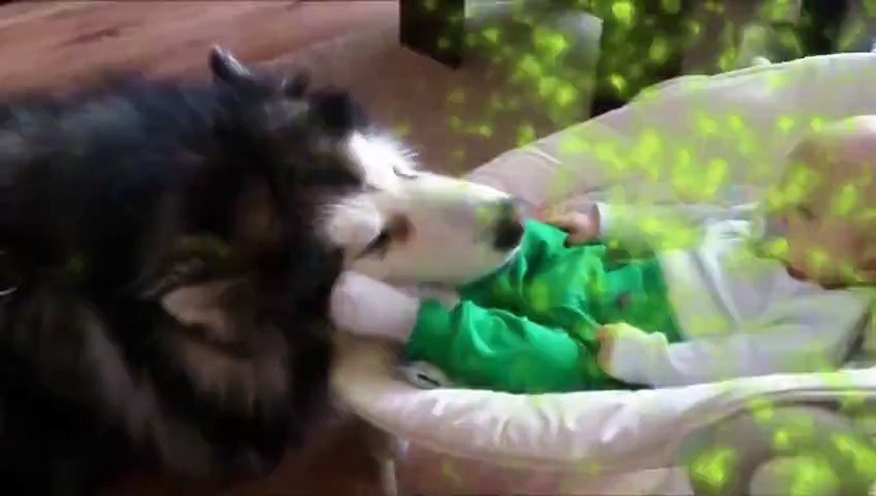 Viral's Best Videos of the July (2015)!