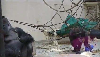 Akili @Artis with his 3 oldest sons - 9 April 2013