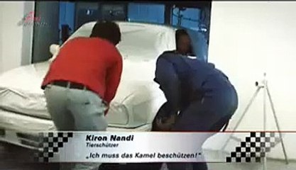 ICH FAHRE MEILENWEIT FÜR EIN KAMEL