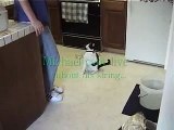Cat has a panic attack when his string is taken.