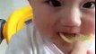 Cute Baby Eating Sour Lemon