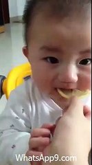 Cute Baby Eating Sour Lemon