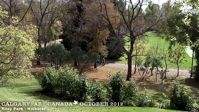 CALGARY , ALBERTA / CANADA A WALKING TRAVEL TOUR HD 1080P
