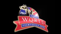 2012 AQHYA Hunt Seat Equitation World Champion