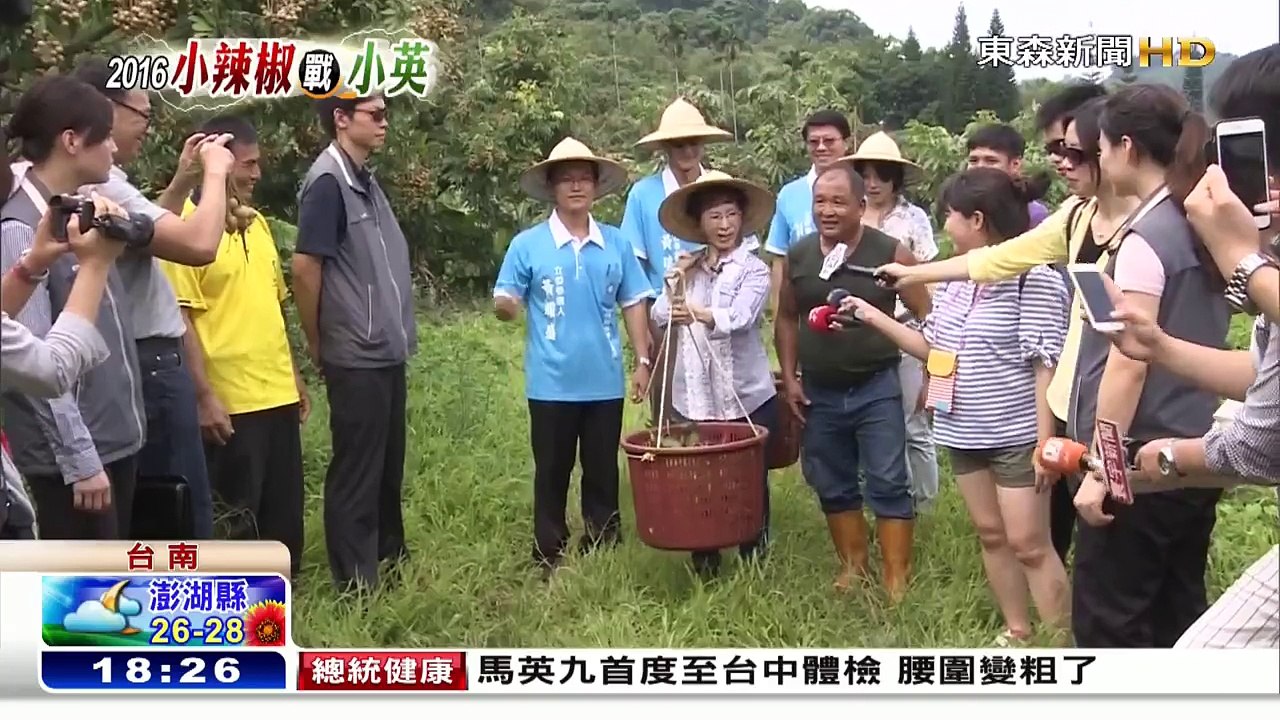 訪農家體驗採龍眼 洪秀柱挑扁擔唱歌