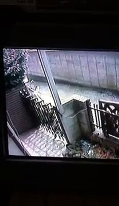 猟奇的 覗き常習犯