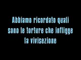 Lancio del corteo contro la vivisezione, Roma 25 settembre