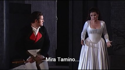 Contraveus La Flauta Mágica: "Ach, ich fühl's"