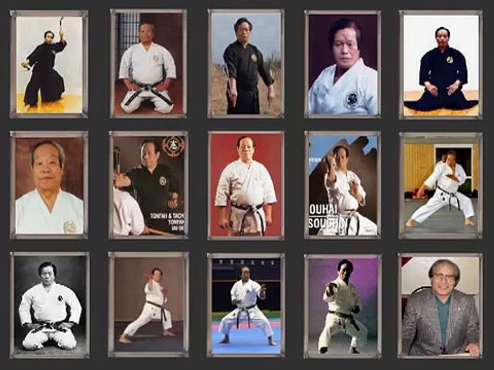 Soke Teruo Hayashi - Kumite