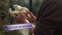 Winkler Prins - Dierenpark Emmen