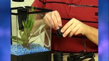 PetSolutions: GloFish 1.5 Gallon Aquarium