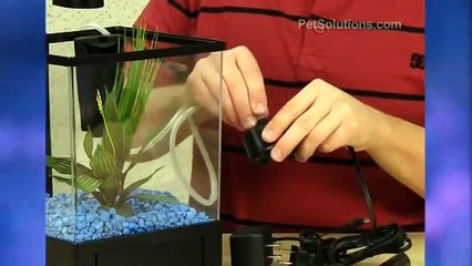 PetSolutions: GloFish 1.5 Gallon Aquarium