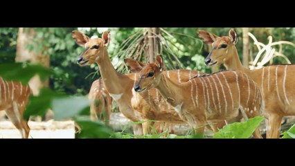 The Color of Nature in 2K