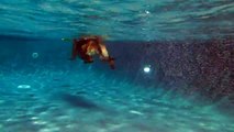 German Shepherd Bryson swimming - underwater view