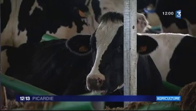 20150718-F3Pic-12-13-Drucat-Mille Vaches : fin du délai pour se mettre en conformité