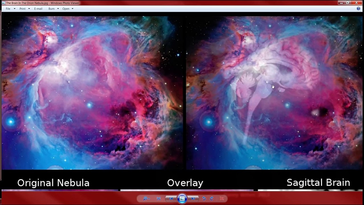 The Brain & Pineal Gland Of The Orion Constellation