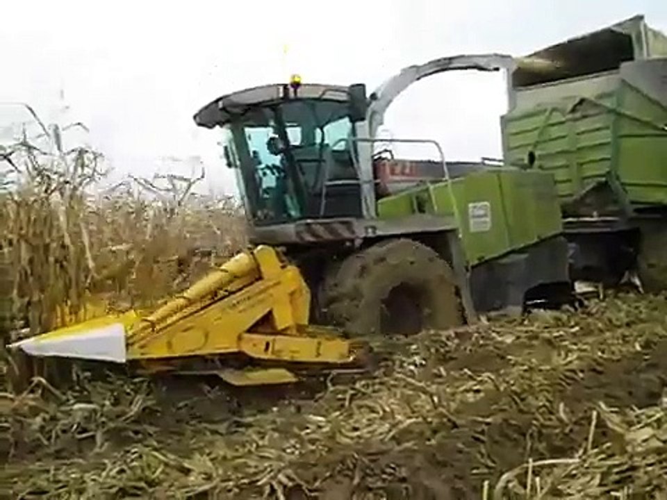 Corn silage 2011 !!! Claas Jaguar 900 Field Shuttle CSL embourbé !!! Maïs épis 2011.wmv