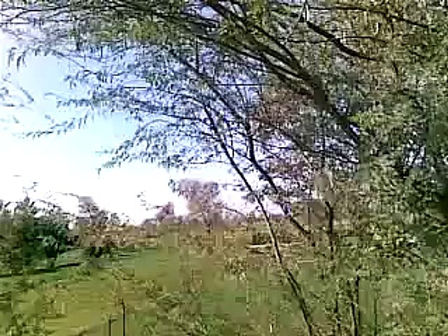 pakistani pind